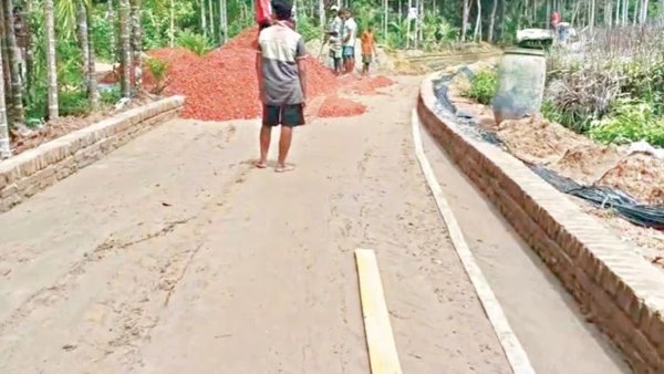 মহেশখালীর সংরক্ষিত বন রক্ষায় সড়ক নির্মাণ বন্ধের উদ্যোগ