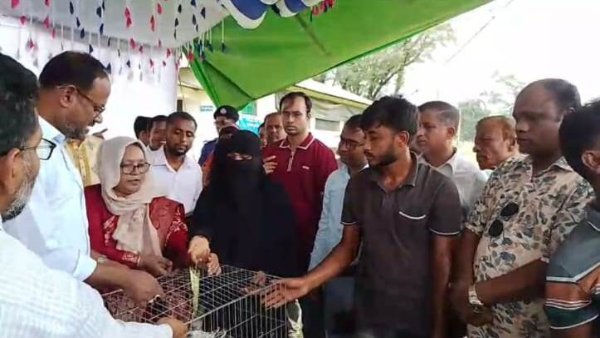 নাইক্ষ্যংছড়ি গয়াল কেন্দ্রে পশু বিতরণ করলেন প্রতিমন্ত্রী টুকু