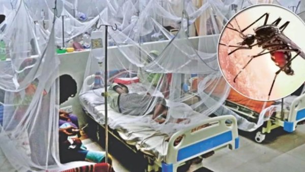 বর্ষার শুরুতেই ডেঙ্গুর থাবা, সারাদেশে বাড়ছে আক্রান্ত