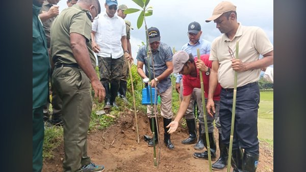 টেকনাফের সংরক্ষিত বনে চারা রোপণ করলেন পরিবেশ প্রতিমন্ত্রী