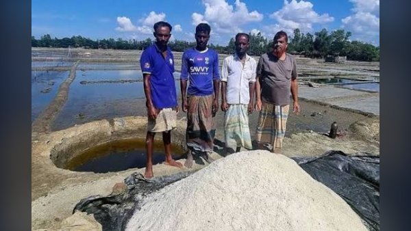 কুতুবদিয়ার ১১৩.৫৬ একর জমি বিসিকের অনুকূলে হস্তান্তরের উদ্যোগ